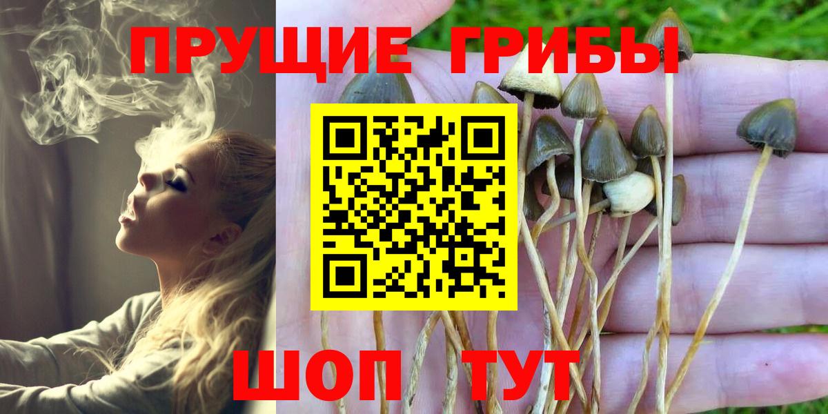 Брянск  Галлюциногенные грибы мицелий  где можно купить наркотик  Вход с VPN 