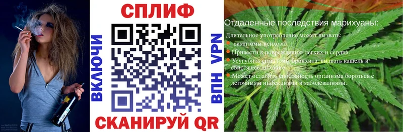 МЕГА ссылка  Брянск  Конопля семена  где продают  
